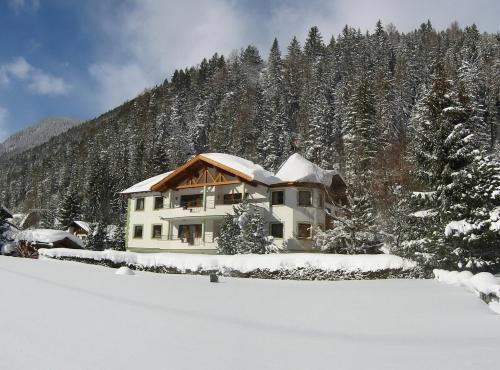 Diana Pettneu Am Arlberg