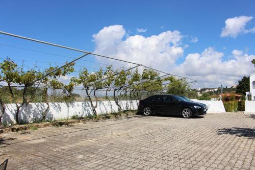 Sunshine - image 11