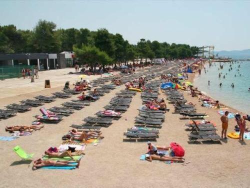 Apartman Loris