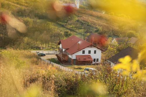 Guest accommodation in Avram Iancu 