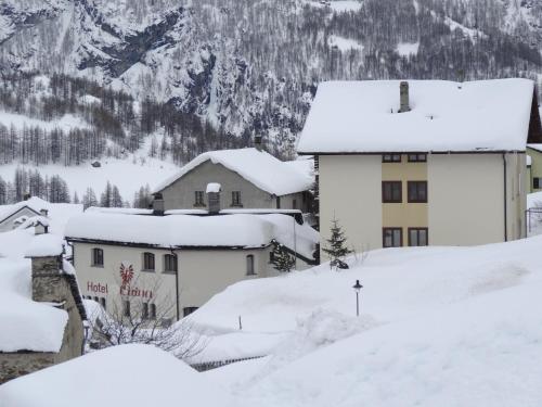 Hotel-Restaurant Grina - image 8