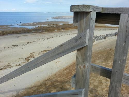 Starlight Lodge Cape Cod in Dennis, USA
