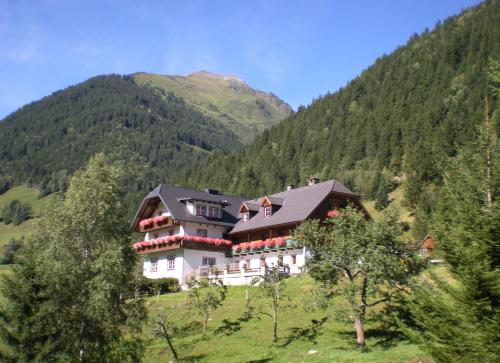 Biobauernhof Spieszschweiger - Hotel - Sankt Nikolai im Sölktal