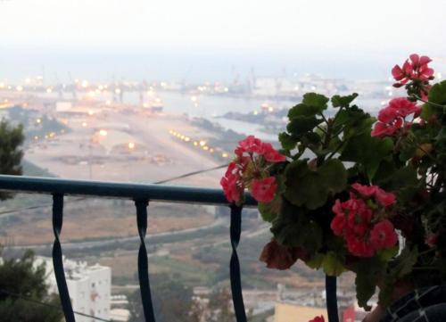 A környék, The Artist's House Overlooking the Bay of Haifa in Mount Carmel