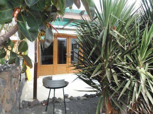  Cocorelax in Teguise