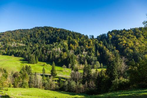 Deluxe Single Room with Balcony and Mountain View