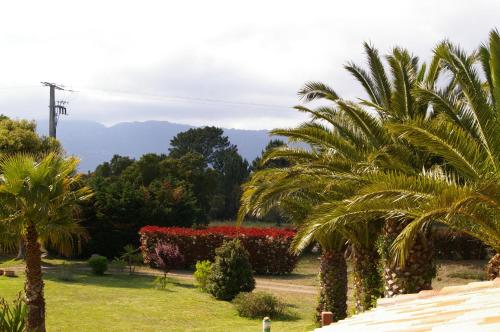 RESIDENCE U RE D' ALZETTU