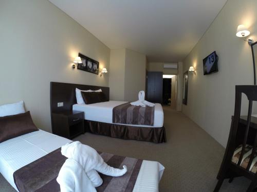 Hotel Terrasa