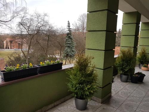 Widok z zewnątrz, Apartamenty przy Zamku in Olsztyn