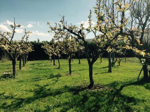 Bed & Breakfast Le Piagge
