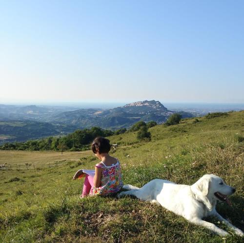 Fattoria Bio L'A Ceccoli