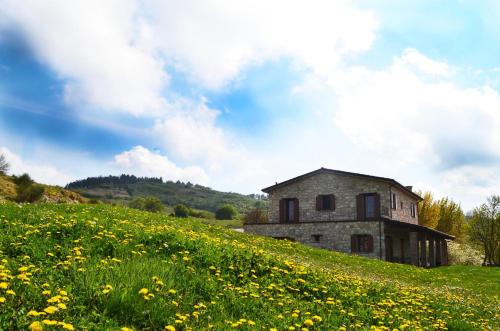 Fattoria Bio L'A Ceccoli