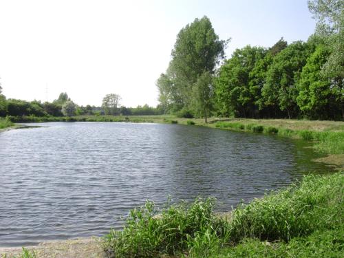 A környék, Camping-Aller-Leine-Tal in Essel