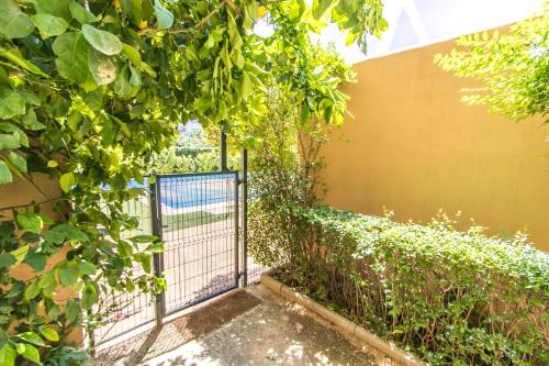Apartamento Almunia - image 4
