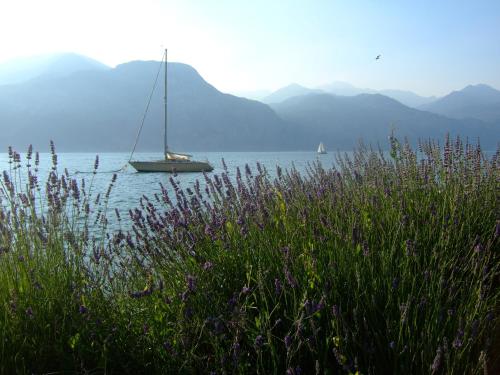 Residence San Vito - image 9