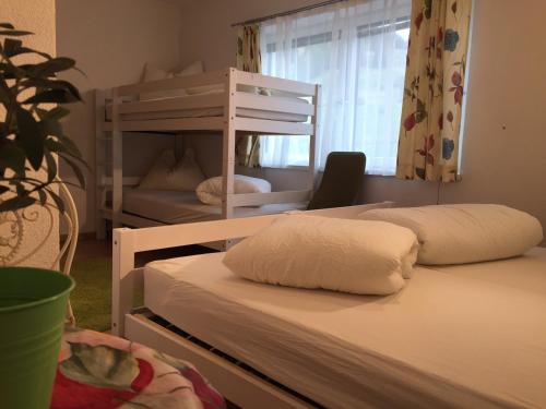 Ibex Hostel - image 5
