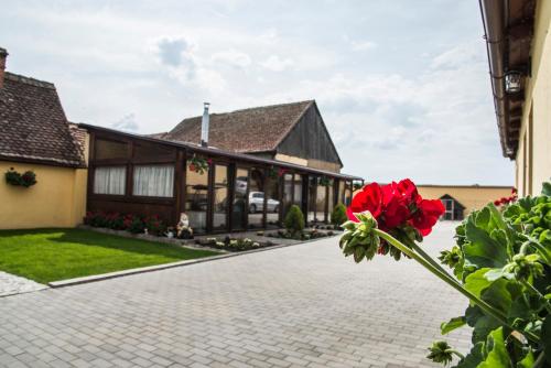 Iekārtas, Casa Antonia Homestay in Șura Mică