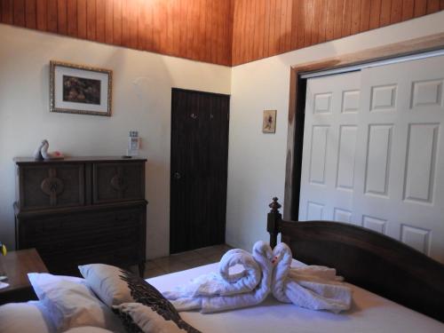 Rio Celeste Backpackers