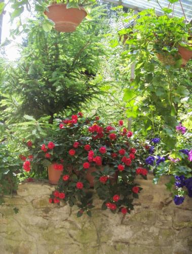 Villa Doina photo