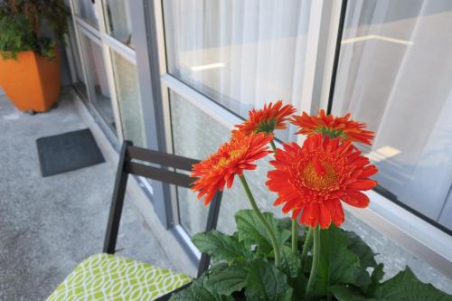 玫瑰区汽车旅馆