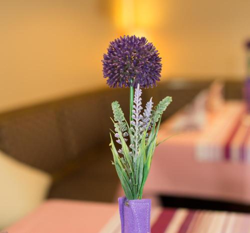 Hotel Restaurant Lütkebohmert - image 3
