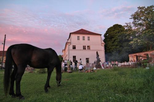 Gutshof Kehnert - Pension & Ferienwohnungen