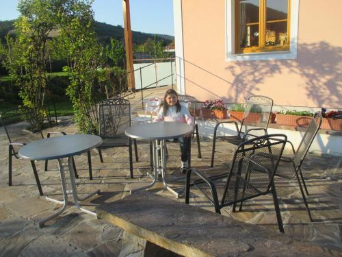 Altan/terrasse, GasteHaus Rudolf u. Sandra DENK in Weissenkirchen in der Wachau
