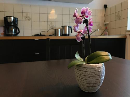 Apartmenthaus Marten - image 14