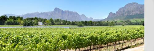 Vrede en Lust Estate