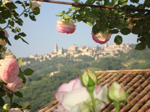 Agriturismo Borgo Montecucco