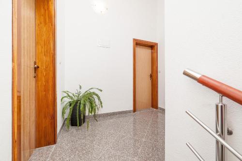 One-Bedroom Apartment image 10
