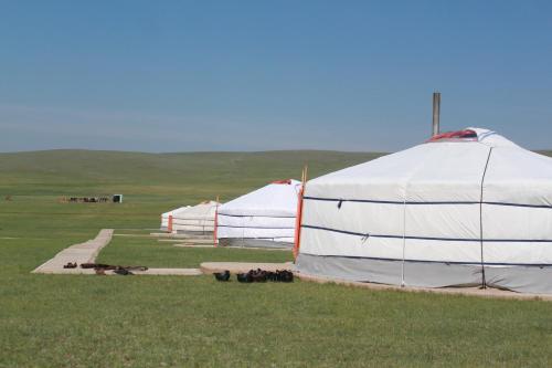Nomad Horse Camp Ulaanbaatar
