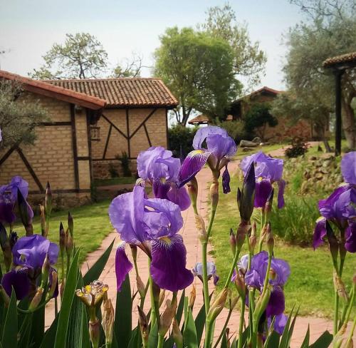 Hotel Rural Hosteria Fontivieja