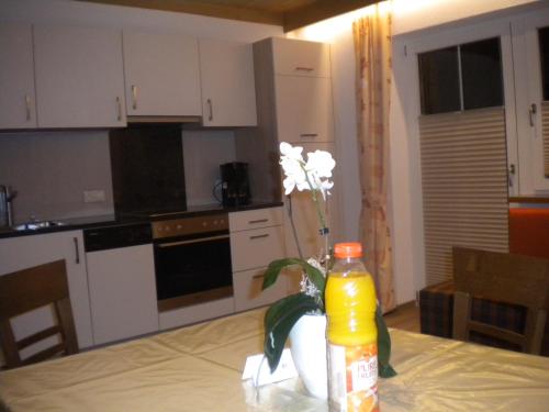  Erika Sporer in Hippach