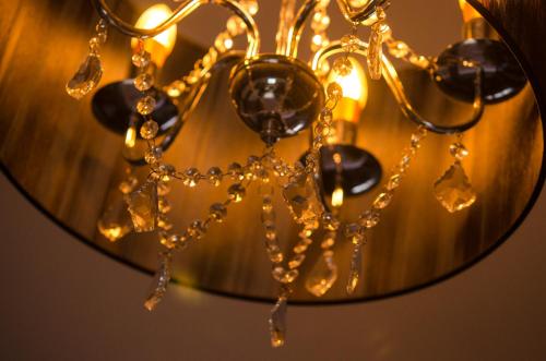 The Dog At Wingham The Dog At Wingham