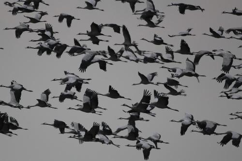 A Hotel Com Hotel Haus Kranich Hotel Prerow Germany Cena