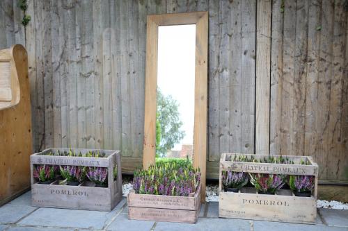 The Dog At Wingham The Dog At Wingham