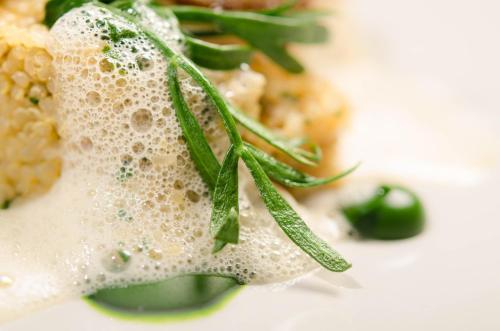 The Dog At Wingham The Dog At Wingham