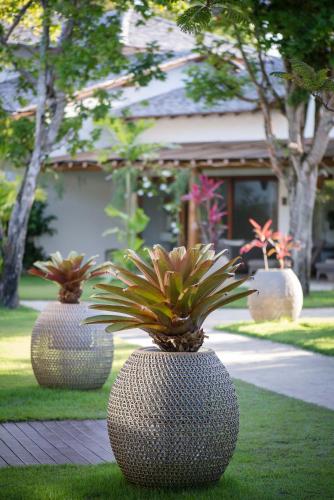 97676905 Campo Bahia Hotel Villas Spa