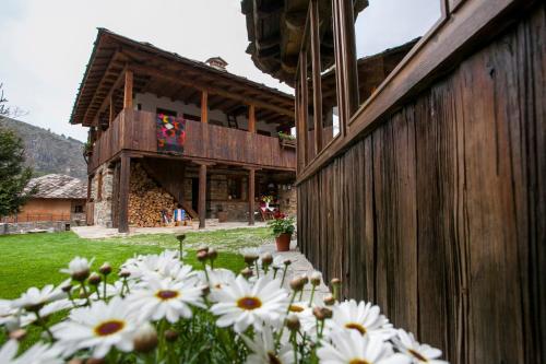 Lavanda Bed and Breakfast - image 11