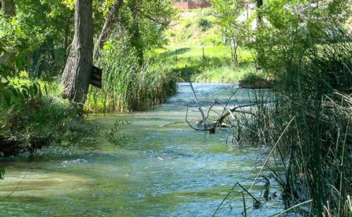 Allen Ranch - image 9