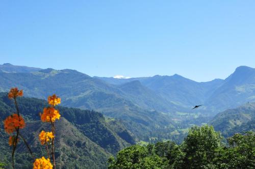 97704669 Hotel El Mirador del Cocora