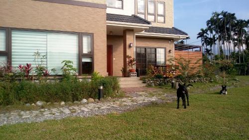 View, Celine's B&B in Fenglin Township