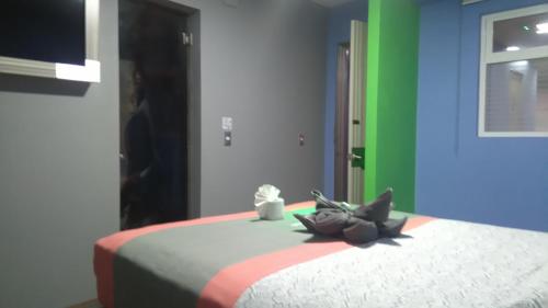 Hotel H - Eco Adults Only – Mexico City, CT