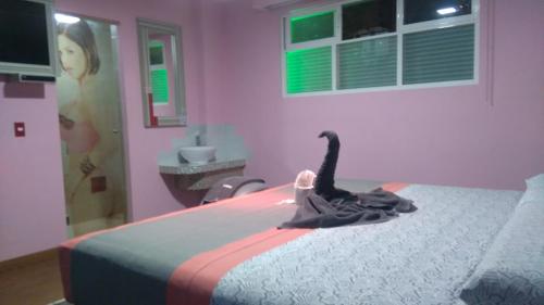 Hotel H - Eco Adults Only – Mexico City, CT