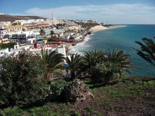 Apartamentos Palm Garden