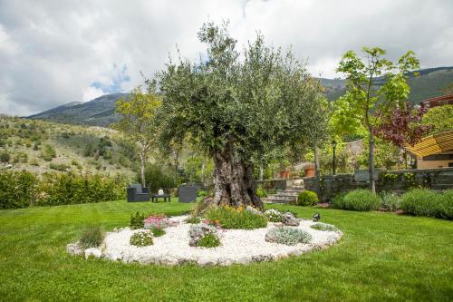 B&B Al Colle 2