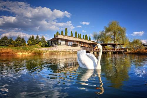 艾特诺村卡达西酒店 艾特诺村卡达西酒店