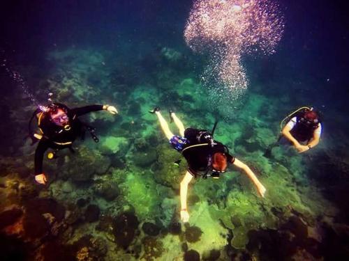 Sports and activities, Rimba Resort - Dive Centre & Spa in Sibu Island