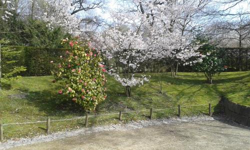 B&B Appelkers II chambre d'hôte Veulen